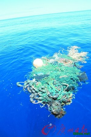 大洋里漂浮的垃圾:塑料、绳索、各种水生生物和一张废弃的渔网捆绑在了一起。 大洋里漂浮的垃圾:塑料、绳索、各种水生生物和一张废弃的渔网捆绑在了一起。